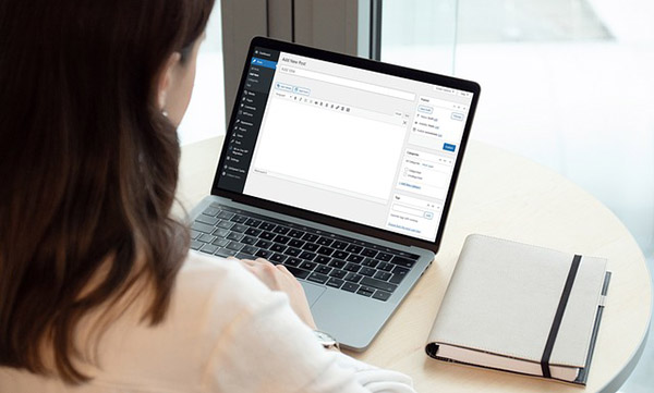 Expressinstallation von CMS WordPress