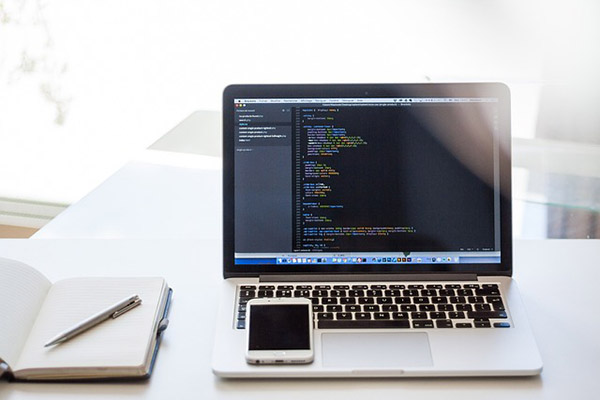 Basis-Installation CMS WordPress