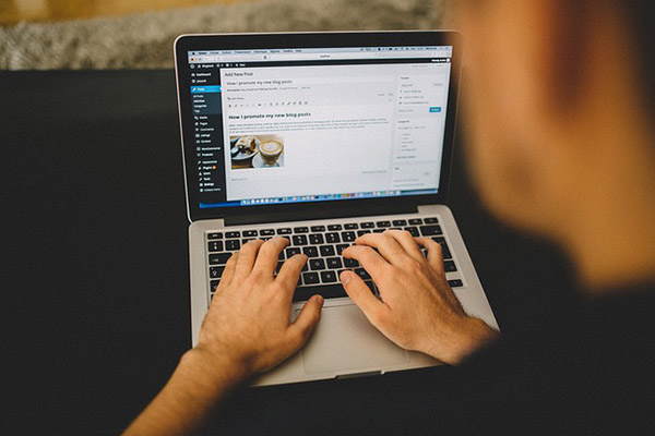 Pro-Installation von CMS WordPress